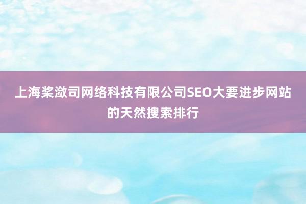 上海桨潋司网络科技有限公司SEO大要进步网站的天然搜索排行
